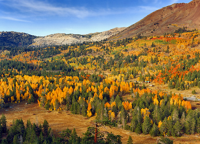 Carson Pass Highway - Route 88, California