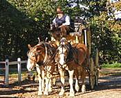 Old Sturbridge Village Stagecoach and costumed interpreter