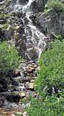 Rose Falls