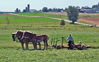 Rural Farm - Lancaster County, Pennsylvania