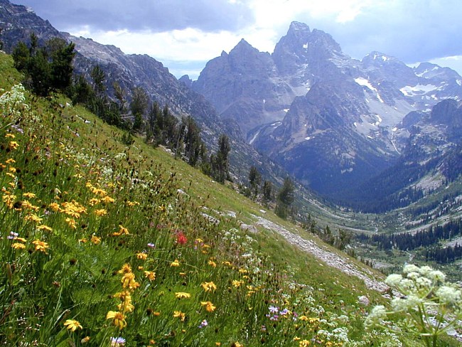 Cascade Canyon - Grand Tetons National Park, Wyoming