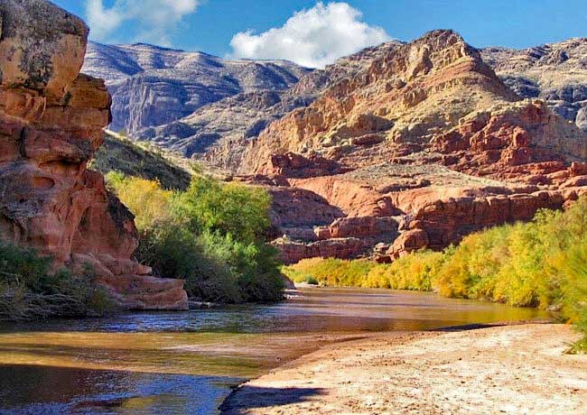 Cedar Pocket - Virgin River Canyon Recreation Site, Arizona