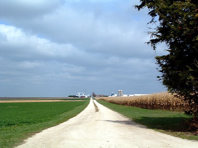 Fayette Farmland