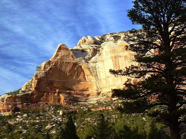 Rig Canyon