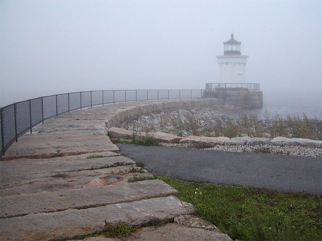 Bug Light