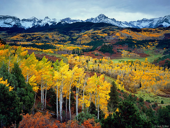 Autumn in the Sneffels - Mount Sneffels Wilderness Area, Colorado