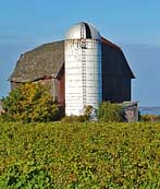 Seneca Lake Barn and Vineyard - Finger Lakes Region, NY
