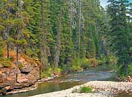St Mary River - Glacier National Park, Montana