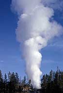 Steam phase of Steamboat Geyser - Norris Geyser Basin, Yellowstone National Park, WY