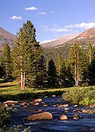 View near Tioga Pass - Yosemite National Park, CA