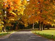 Vanderbilt Mansion Grounds