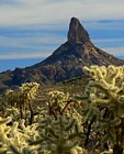 Weaver's Needle