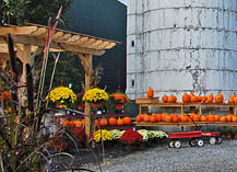 Harding's Willow Brook Farm Garden Center